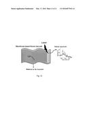 COATED MESOFLOWERS FOR MOLECULAR DETECTION AND SMART BARCODE MATERIALS diagram and image