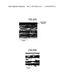 ELECTRODE FOR ELECTROCHEMICAL MEASUREMENT, ELECTROLYSIS CELL FOR     ELECTROCHEMICAL MEASUREMENT, ANALYZER FOR ELECTROCHEMICAL MEASUREMENT,     AND METHODS FOR PRODUCING SAME diagram and image