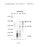 METHOD OF USING TUMOUR RNA INTEGRITY TO MEASURE RESPONSE TO CHEMOTHERAPY     IN CANCER PATIENTS diagram and image