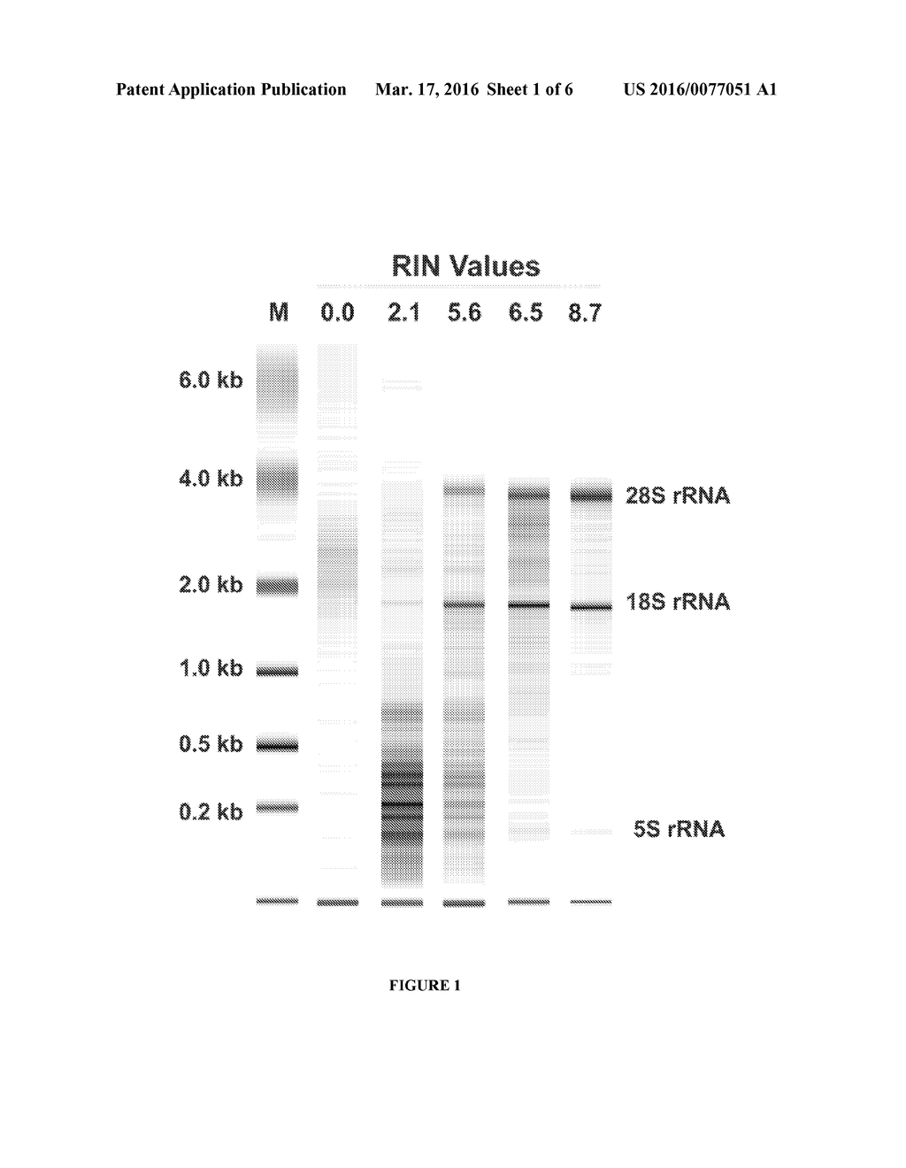 METHOD OF USING TUMOUR RNA INTEGRITY TO MEASURE RESPONSE TO CHEMOTHERAPY     IN CANCER PATIENTS - diagram, schematic, and image 02