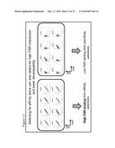 POLYSPECIFICITY REAGENTS, METHODS FOR THEIR PREPARATION AND USE diagram and image