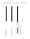 NEW SINGLE CRYSTAL DIAMOND DOSIMETER AND USE THEREOF diagram and image