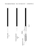 NEW SINGLE CRYSTAL DIAMOND DOSIMETER AND USE THEREOF diagram and image