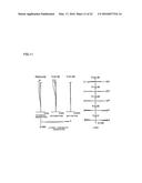 VARIABLE MAGNIFICATION OPTICAL SYSTEM, IMAGING APPARATUS, AND METHOD FOR     MANUFACTURING VARIABLE MAGNIFICATION OPTICAL SYSTEM diagram and image