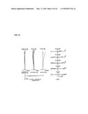 VARIABLE MAGNIFICATION OPTICAL SYSTEM, IMAGING APPARATUS, AND METHOD FOR     MANUFACTURING VARIABLE MAGNIFICATION OPTICAL SYSTEM diagram and image