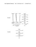 VARIABLE MAGNIFICATION OPTICAL SYSTEM, IMAGING APPARATUS, AND METHOD FOR     MANUFACTURING VARIABLE MAGNIFICATION OPTICAL SYSTEM diagram and image