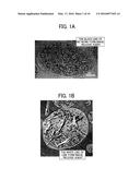 TONER, DEVELOPER, AND METHOD OF MANUFACTURING THE TONER diagram and image