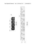 Apparatus, Method, and System for Image-Based Human Embryo Cell     Classification diagram and image