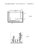 DENDRITIC STRUCTURES AND TAGS diagram and image