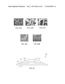 DENDRITIC STRUCTURES AND TAGS diagram and image