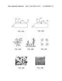 DENDRITIC STRUCTURES AND TAGS diagram and image