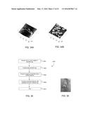 DENDRITIC STRUCTURES AND TAGS diagram and image