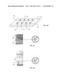 DENDRITIC STRUCTURES AND TAGS diagram and image