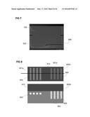 METHOD FOR PROCESSING A CARRIER AND A CARRIER diagram and image