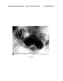 SiOx/Si/C Composite Material and Process of Producing thereof, and Anode     for Lithium Ion Battery Comprising Said Composite Material diagram and image