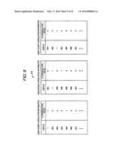 INFORMATION PROCESSING APPARATUS, INFORMATION PROCESSING METHOD, COMPUTER     PROGRAM, AND INFORMATION SHARING SYSTEM diagram and image