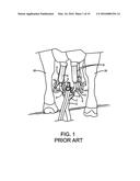 DAIRY MILKING LINER diagram and image