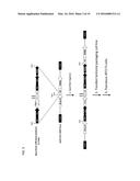 Chimeric Antigen Receptors diagram and image