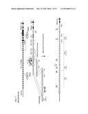 Chimeric Antigen Receptors diagram and image