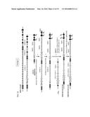 Chimeric Antigen Receptors diagram and image