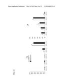 Chimeric Antigen Receptors diagram and image