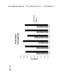 Chimeric Antigen Receptors diagram and image