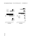 Chimeric Antigen Receptors diagram and image