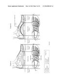 Footwear with Dynamic Arch System diagram and image