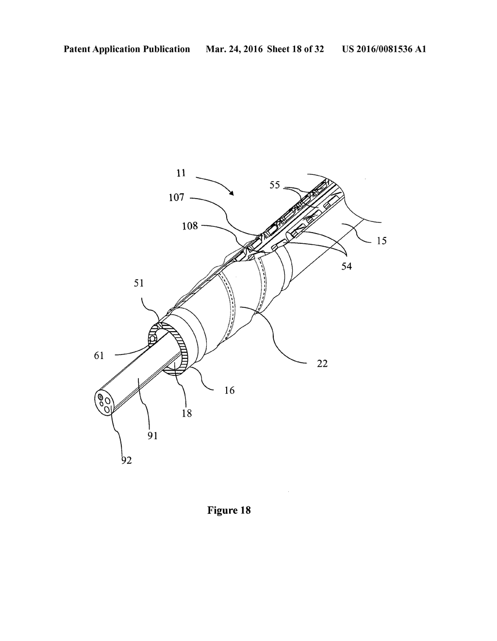 Endoscope Accessory - diagram, schematic, and image 19