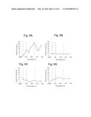 AN APPARATUS CONFIGURATED TO AND A PROCESS TO PHOTOACOUSTICALL IMAGE AND     MEASURE A STRUCTURE AT THE HUMAN EYE FUNDUS diagram and image