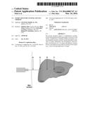 ENERGY DELIVERY SYSTEMS AND USES THEREOF diagram and image