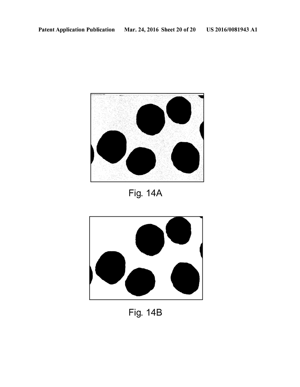 Process For Making A Core With An Active Coating - diagram, schematic, and image 21