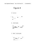 USE OF METHIONINE SULFOXIMINE TO TREAT DISEASES CAUSED BY AN INFLAMMATORY     CYTOKINE RESPONSE diagram and image