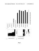 INHIBITORS OF METALLO- -LACTAMASE-ENZYMES diagram and image