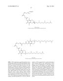 SOFT GEL COMPOSITIONS AND PRE-GEL CONCENTRATES diagram and image