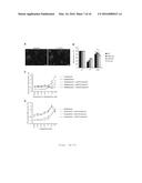 METHODS, COMPOSITIONS AND KITS FOR PROMOTING MOTOR NEURON SURVIVAL AND     TREATING AND DIAGNOSING NEURODEGENERATIVE DISORDERS diagram and image