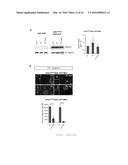 METHODS, COMPOSITIONS AND KITS FOR PROMOTING MOTOR NEURON SURVIVAL AND     TREATING AND DIAGNOSING NEURODEGENERATIVE DISORDERS diagram and image