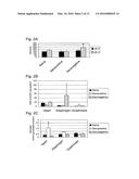 IMMUNOMODULATING GENE THERAPY diagram and image