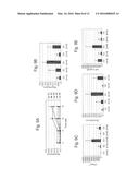 IMMUNOMODULATING GENE THERAPY diagram and image