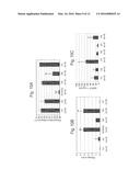 IMMUNOMODULATING GENE THERAPY diagram and image