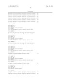 FLAGELLIN RELATED POLYPEPTIDES AND USES THEREOF diagram and image