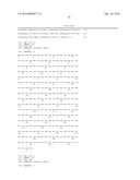 FLAGELLIN RELATED POLYPEPTIDES AND USES THEREOF diagram and image