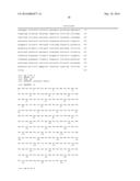 FLAGELLIN RELATED POLYPEPTIDES AND USES THEREOF diagram and image