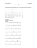 FLAGELLIN RELATED POLYPEPTIDES AND USES THEREOF diagram and image