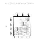 FLAGELLIN RELATED POLYPEPTIDES AND USES THEREOF diagram and image