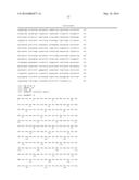 FLAGELLIN RELATED POLYPEPTIDES AND USES THEREOF diagram and image