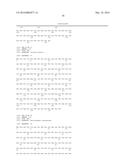 FLAGELLIN RELATED POLYPEPTIDES AND USES THEREOF diagram and image