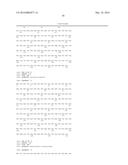 FLAGELLIN RELATED POLYPEPTIDES AND USES THEREOF diagram and image