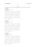 FLAGELLIN RELATED POLYPEPTIDES AND USES THEREOF diagram and image