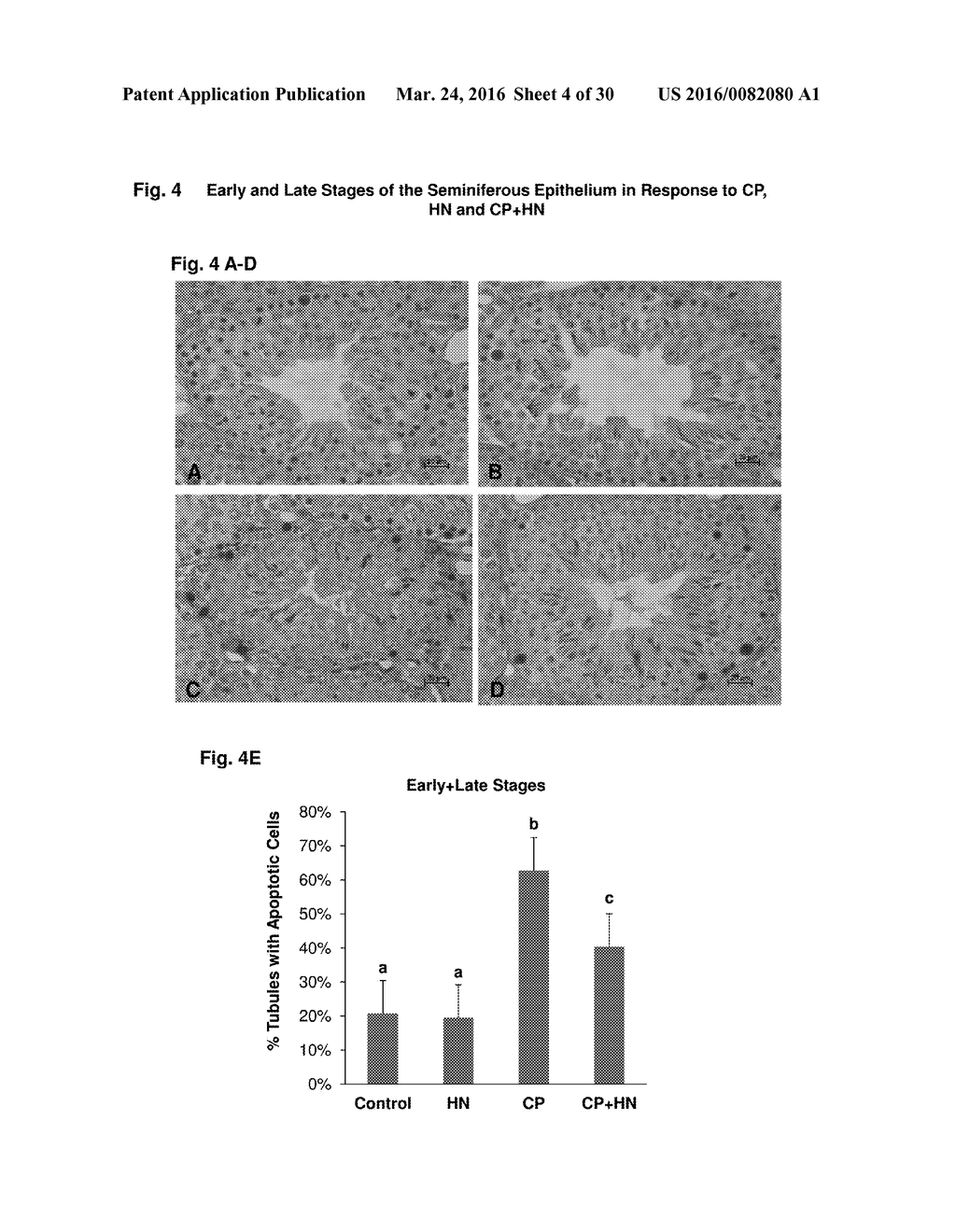 HUMANIN, ANALOGS AND CANCER TREATMENT METHODS AND USES THEREOF - diagram, schematic, and image 05